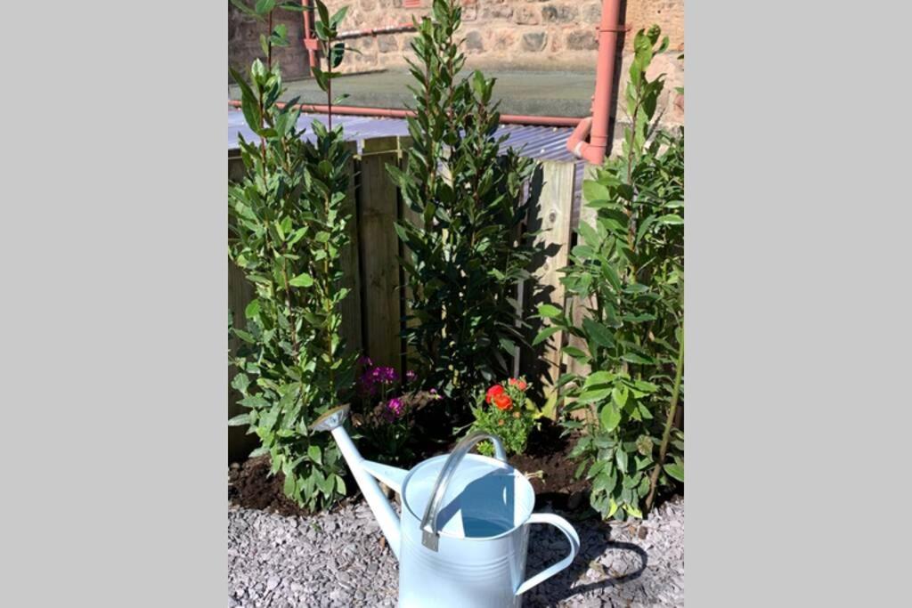 The Nook - A Stylish Apartment With Garden, Near The Beach Berwick Upon Tweed Екстериор снимка